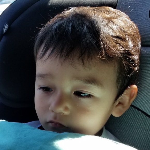 Meet your Posher, Claudio - Picture 1 of 1